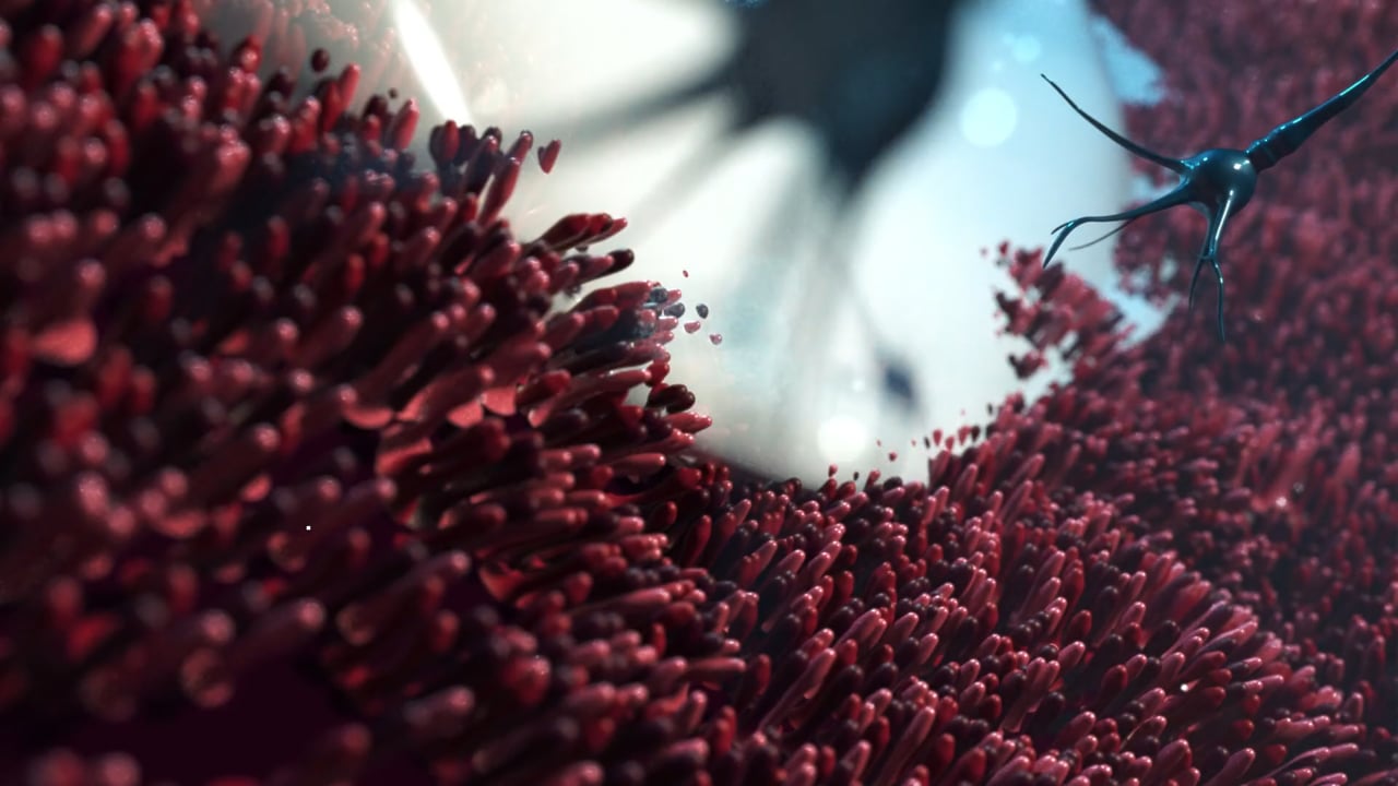 Aurora Biofarma Marial